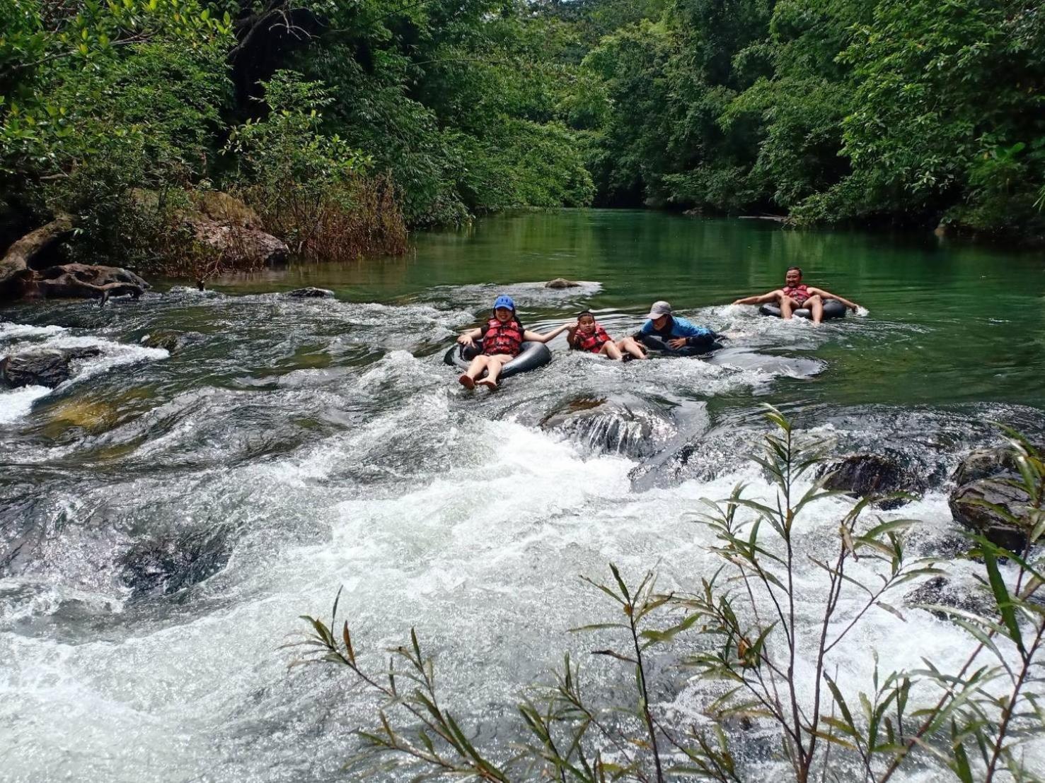 Курортный комплекс Khaosok Rainforest